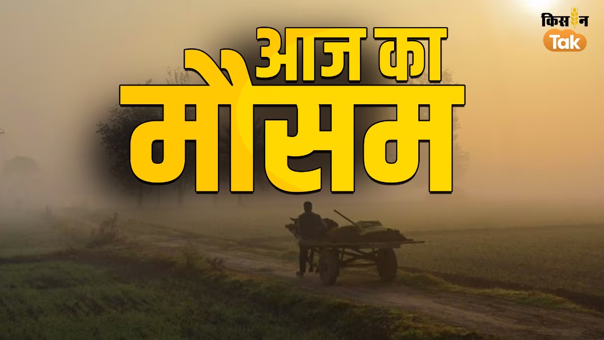 Today's Weather: Expect Climate Changes, Cold Wave and Dense Fog Alerts in Some States