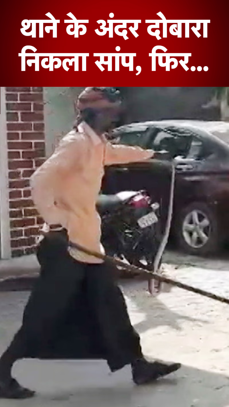 The police station unexpectedly hosted a cobra, giving a scare to handlers.