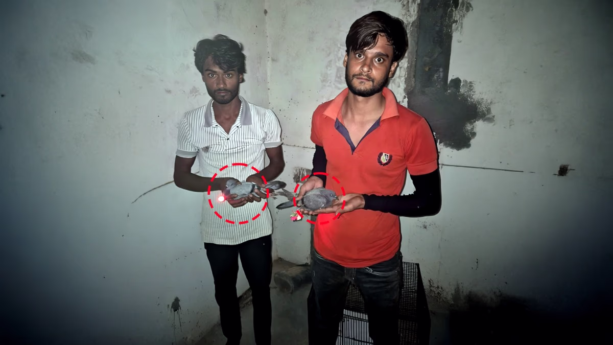 Shoaib and Shakeeb arrested with pigeons. (Photo: ITG)