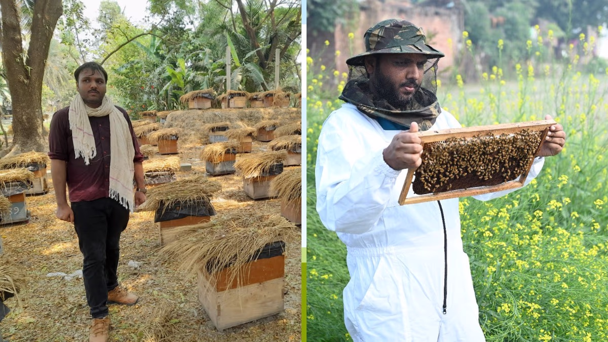 Barabanki's Honey Gains Global Branding Recognition, Read Farmer Nimit Singh's Success Story
