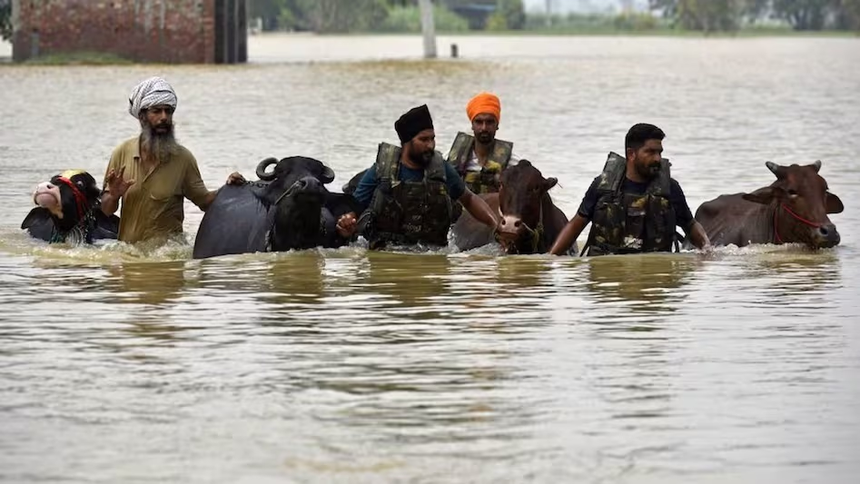 Severe floods in Punjab have claimed 30 lives, affecting over 256,000 people. More than 1,300 villages and 96,000 hectares devastated. NDRF, Army, and police engaged in relief. Critical conditions in Hoshiarpur. Schools and colleges closed with medical services through camps.