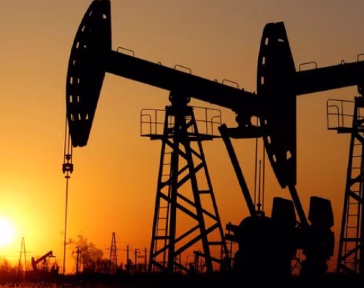 Crude Oil Imports (File Photo)