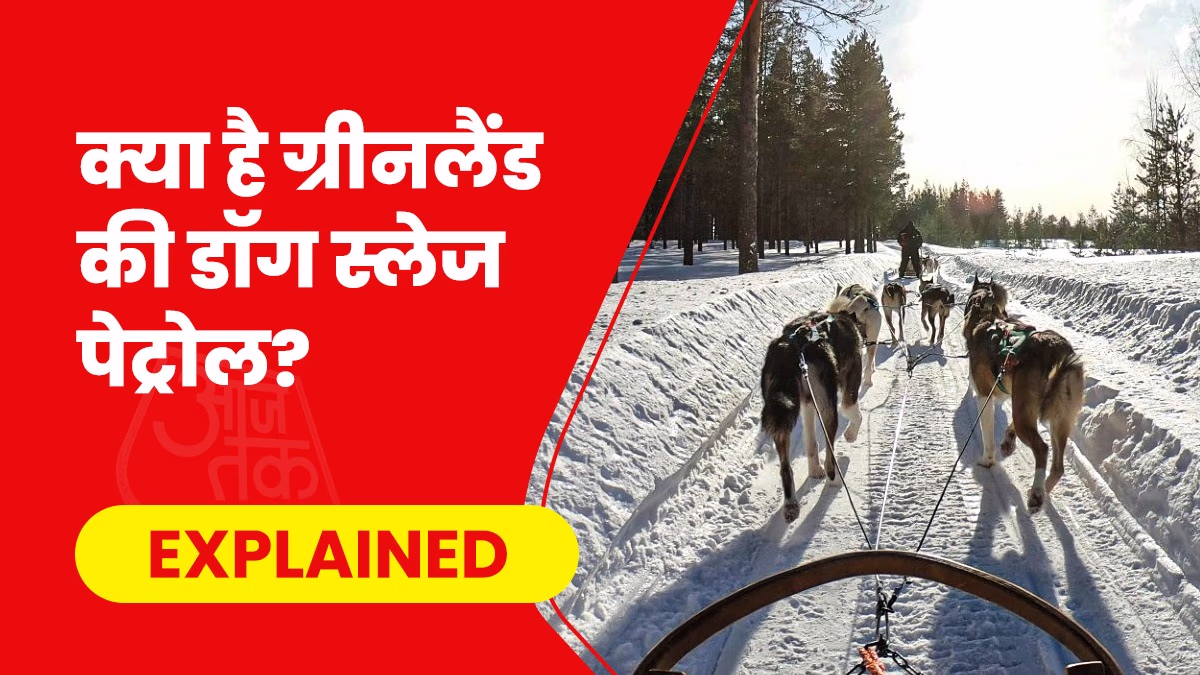 Sirius Dog Patrol meticulously keeps watch over Greenland, detecting even the slightest changes. (Photo- Pexels)