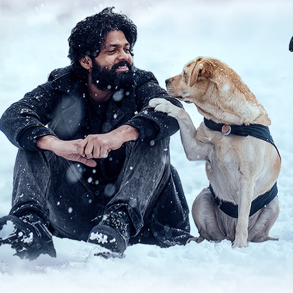 Celebration of International Dog Day Today (Photo: Instagram @rakshitshetty)