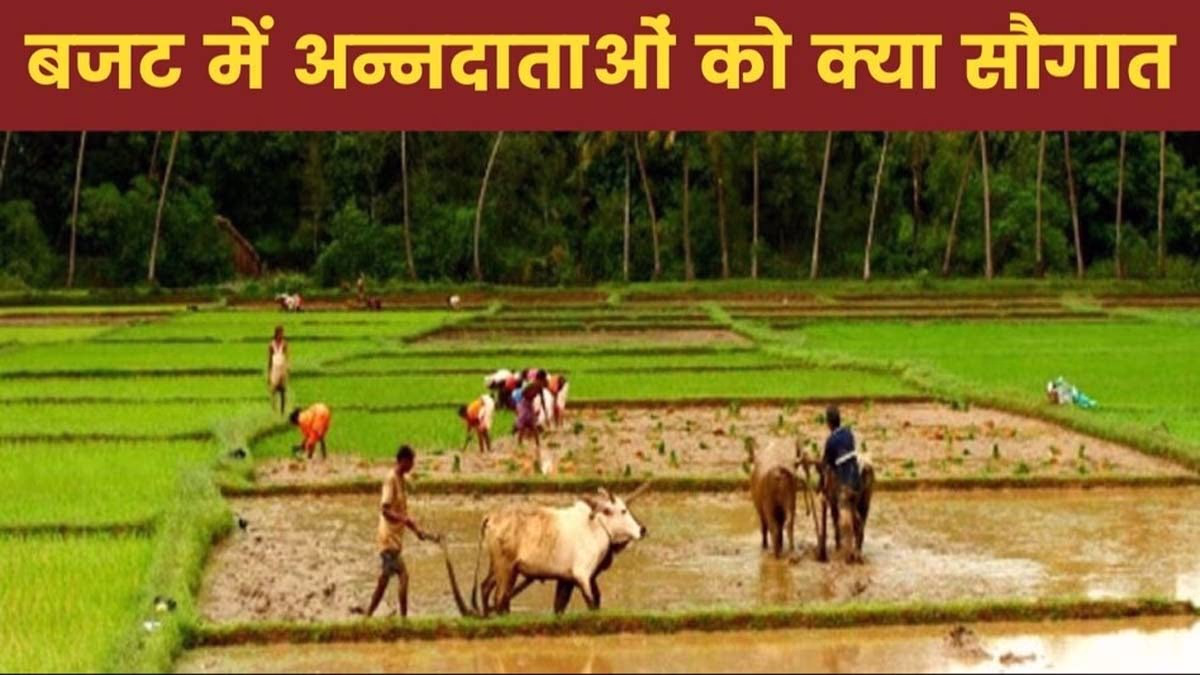 Budget 2026 Expectations for Agriculture Sector (File Photo- ITG)