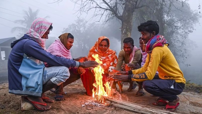 Chilled by Cold Wave, UP Faces Disruptions - Discover the Situation Across Districts!