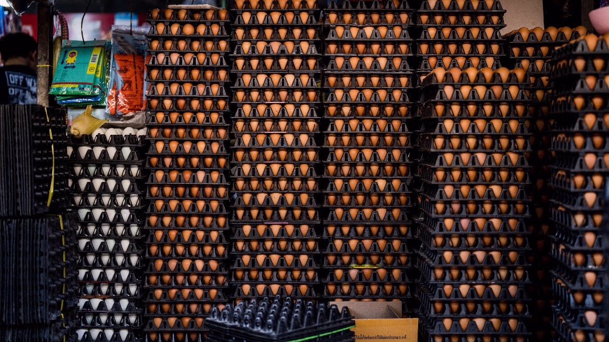UP is consuming more eggs than its production, leading to poultry farm shortages. Read more.