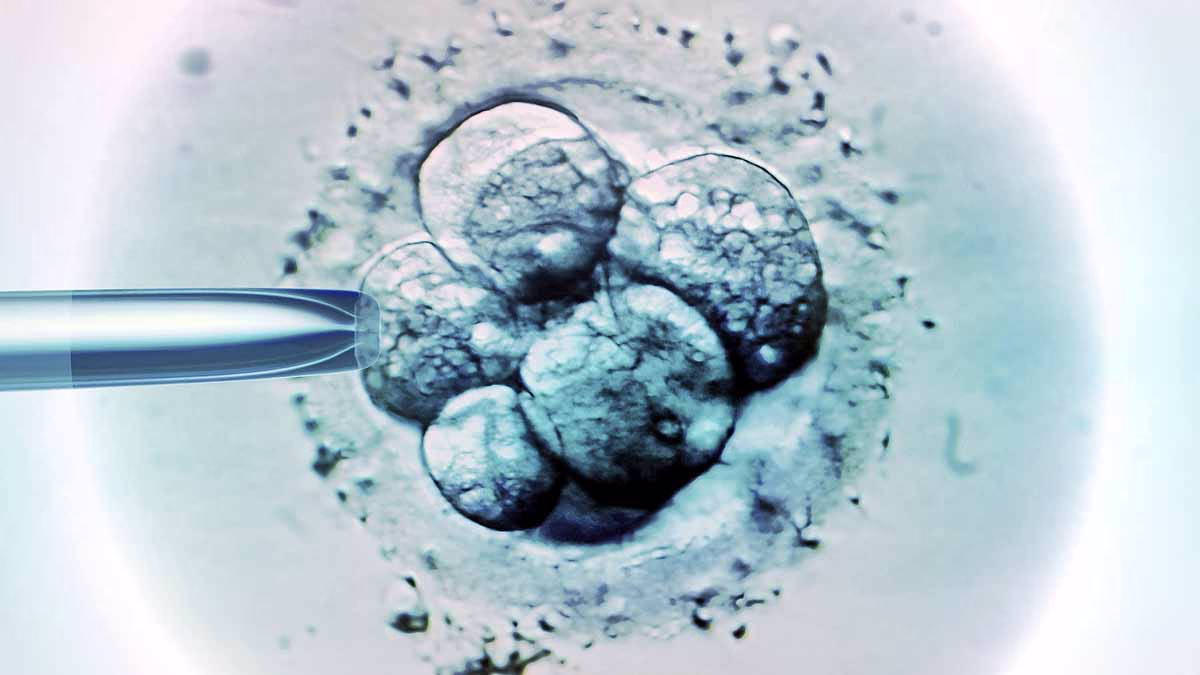 three parents baby