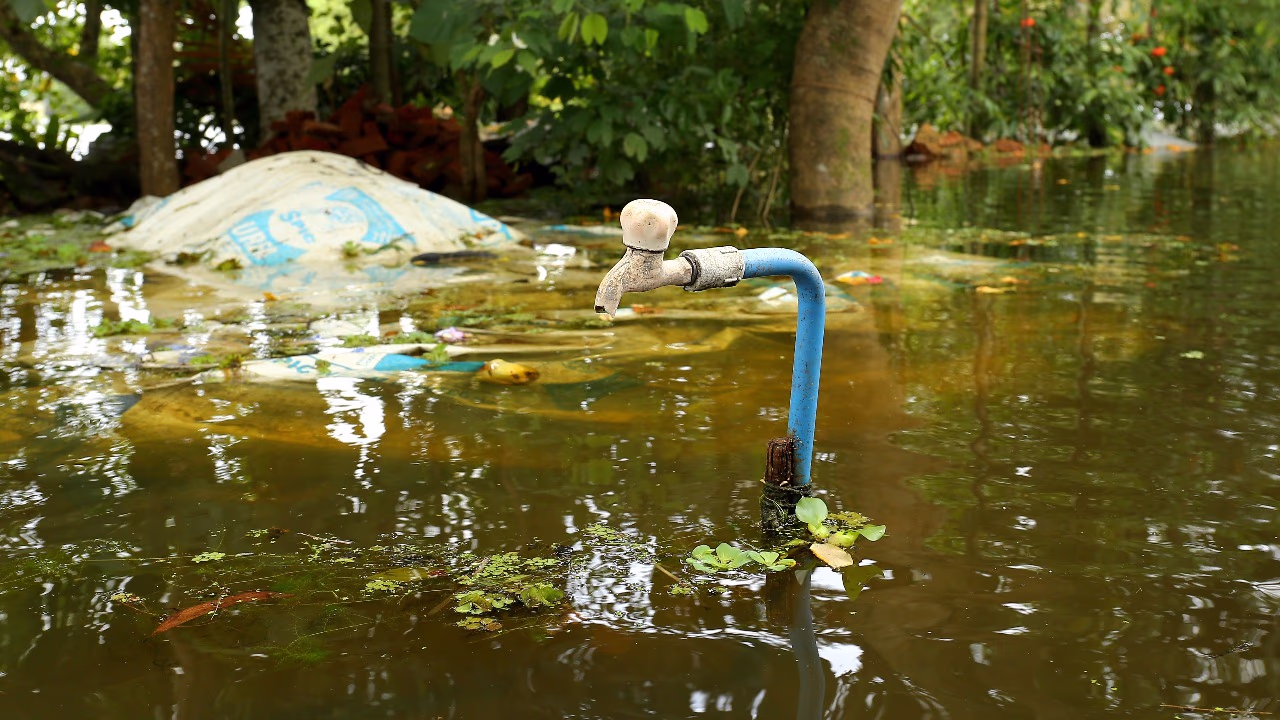 According to the Uni