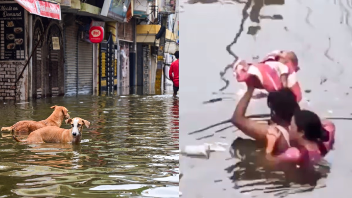 Flood havoc in Prayagraj's sacred city of confluence